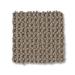 Taupe Gray