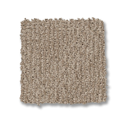 Ario - ZZ222_00754-Carpet