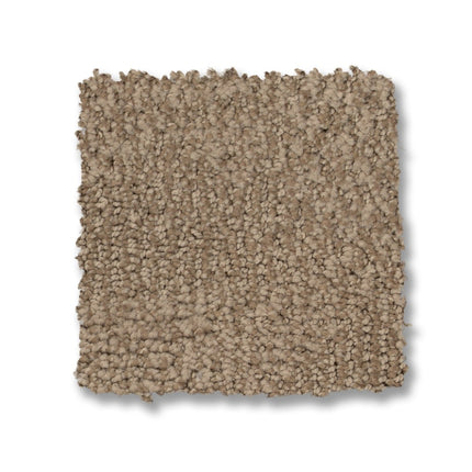 Ario - ZZ222_00117-Carpet