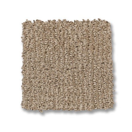 Ario - ZZ222_00115-Carpet