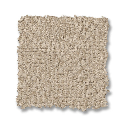 Ario - ZZ222_00113-Carpet