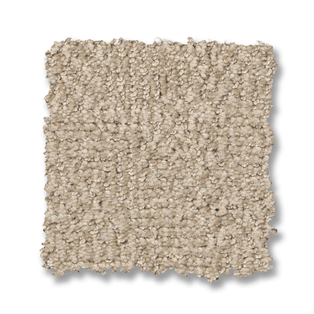 Ario - ZZ222_00113-Carpet