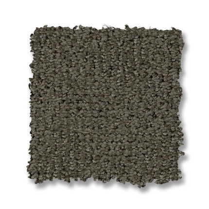Ario - ZZ222_00548-Carpet