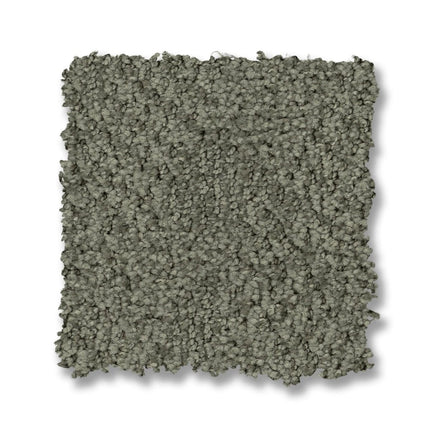 Ario - ZZ222_00347-Carpet