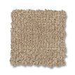 Parchment