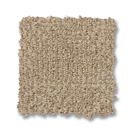 Ario - ZZ222_00114-Carpet