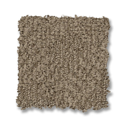 Ario - ZZ222_00573-Carpet