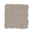 Smokey Taupe