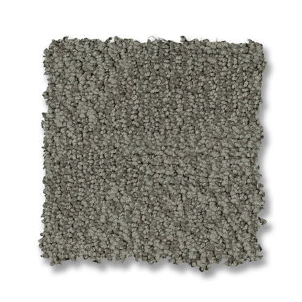 Ario - ZZ222_00545-Carpet