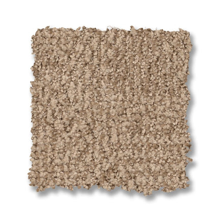 Ario - ZZ222_00763-Carpet