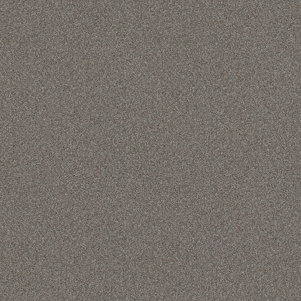 ATTAINABLE - E9965 - 521T - Carpet
