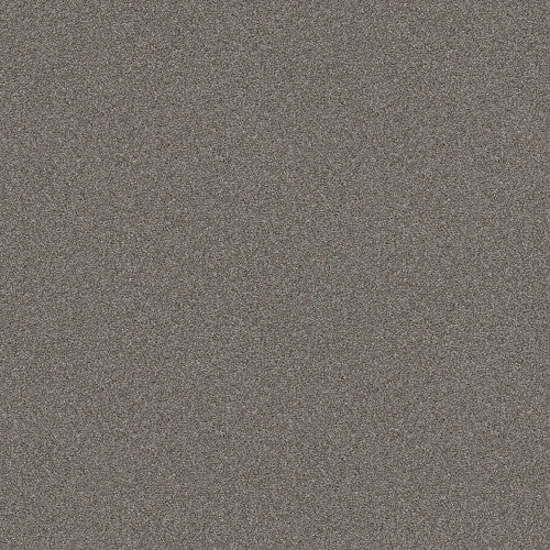 ATTAINABLE - E9965 - 521T - Carpet