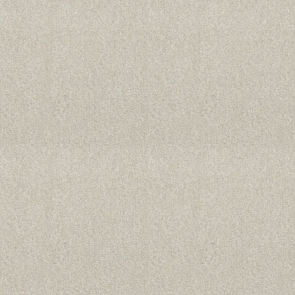 ATTAINABLE - E9965 - 100S - Carpet