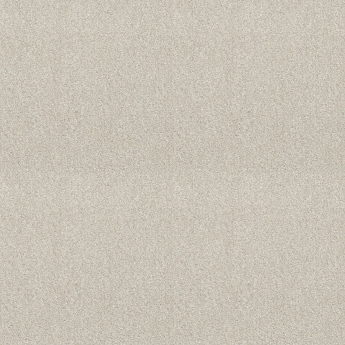 ATTAINABLE - E9965 - 100S - Carpet