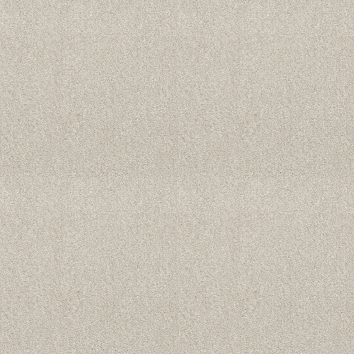 ATTAINABLE - E9965 - 100S - Carpet