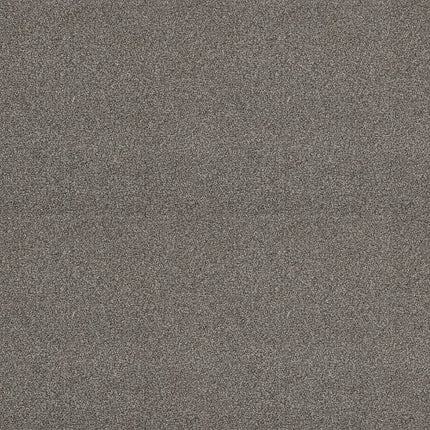 ATTAINABLE - E9965 - 721T - Carpet