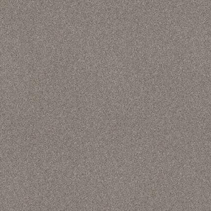 ATTAINABLE - E9965 - 122T - Carpet
