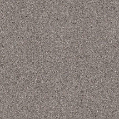 ATTAINABLE - E9965 - 122T - Carpet