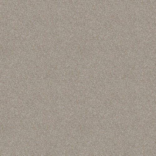 ATTAINABLE - E9965 - 121T - Carpet