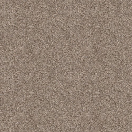 ATTAINABLE - E9965 - 720T - Carpet