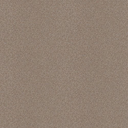 ATTAINABLE - E9965 - 720T - Carpet