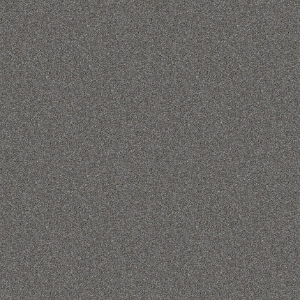 ATTAINABLE - E9965 - 522T - Carpet