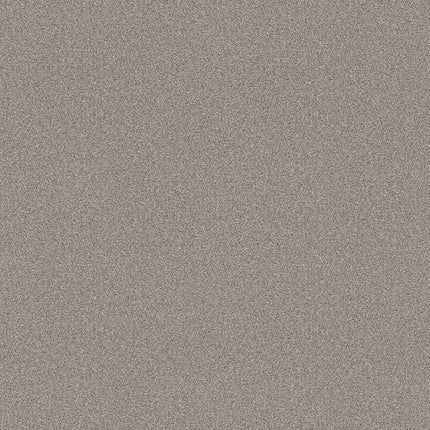 ATTAINABLE - E9965 - 101S - Carpet
