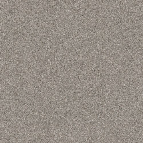 ATTAINABLE - E9965 - 101S - Carpet