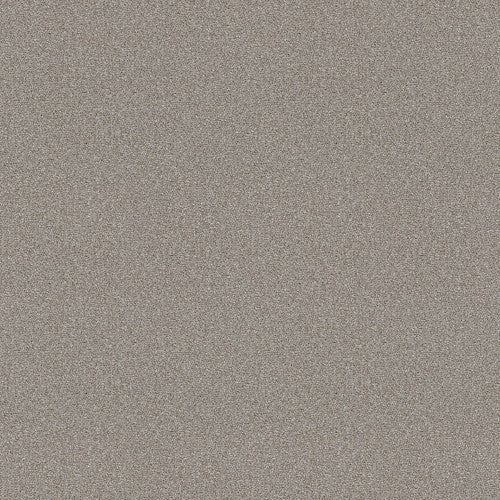 ATTAINABLE - E9965 - 101S - Carpet