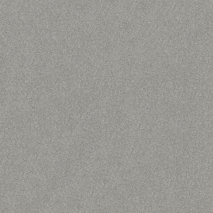 ATTAINABLE - E9965 - 500S - Carpet