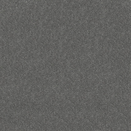 ATTAINABLE - E9965 - 501S - Carpet