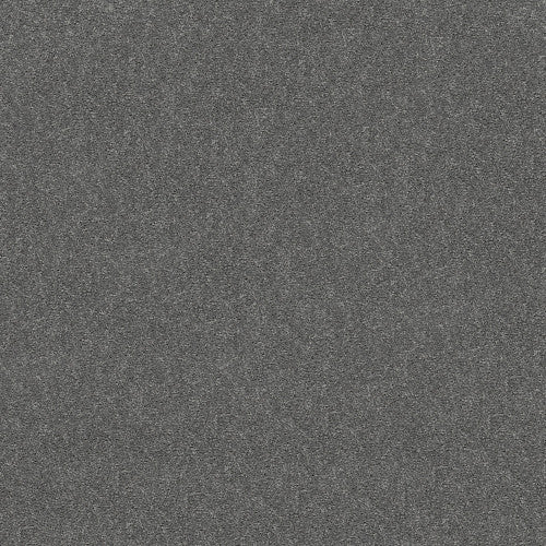 ATTAINABLE - E9965 - 501S - Carpet