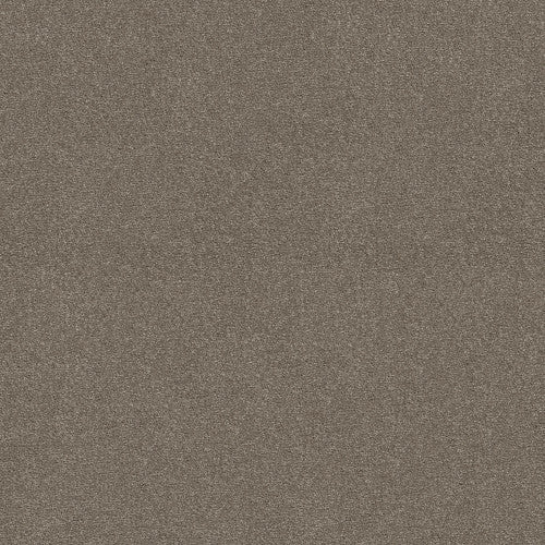 ATTAINABLE - E9965 - 700S - Carpet