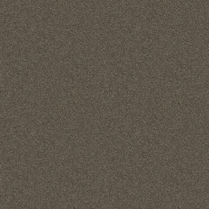 ATTAINABLE - E9965 - 702S - Carpet