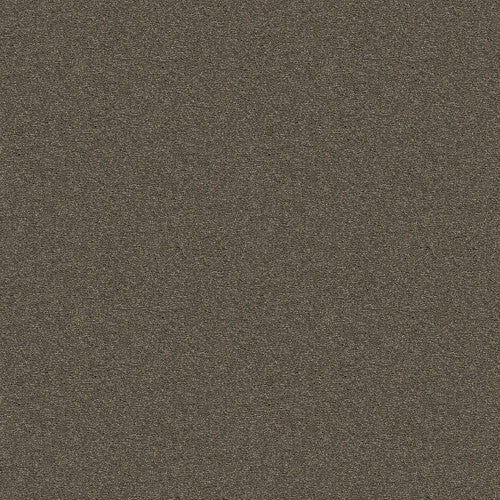 ATTAINABLE - E9965 - 702S - Carpet