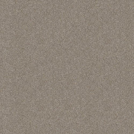 ATTAINABLE - E9965 - 123T - Carpet