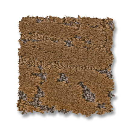 Autograph - ZZ363_00702-Carpet