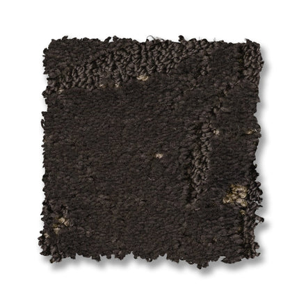 Autograph - ZZ363_00506-Carpet
