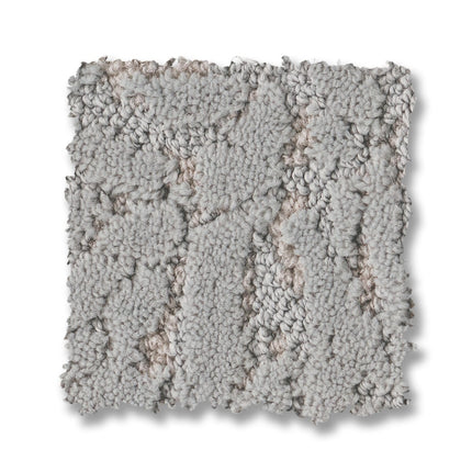 Autograph - ZZ363_00500-Carpet