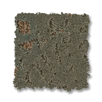 Autograph - ZZ363_00301-Carpet