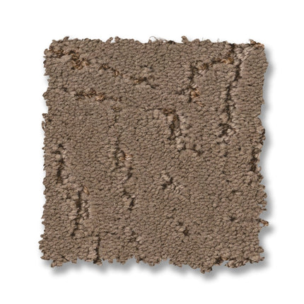 Autograph - ZZ363_00701-Carpet