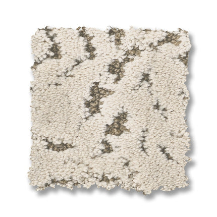 Autograph - ZZ363_00101-Carpet