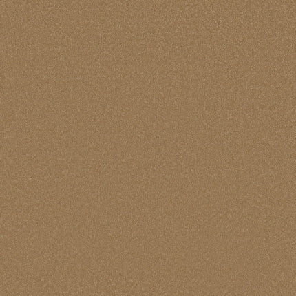 Awaken Spirit II 12' - 5E691_00225-Carpet