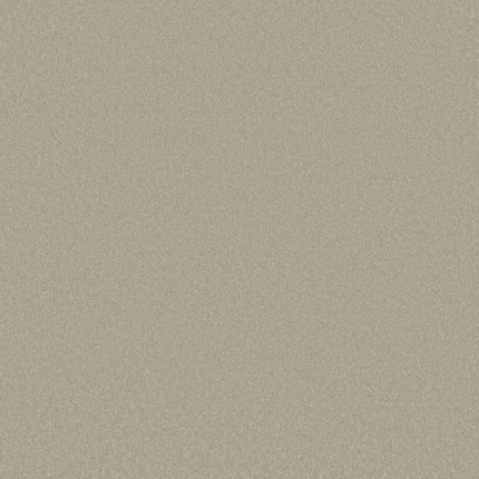 Awaken Spirit II 12' - 5E691_00161-Carpet