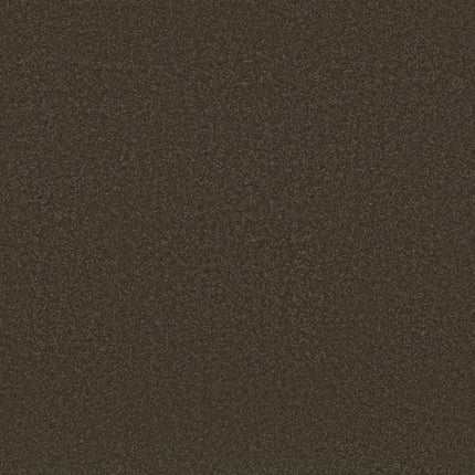 Awaken Spirit II 12' - 5E691_00721-Carpet