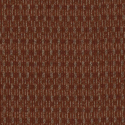 BE REAL - 54809 - 00800 - Carpet