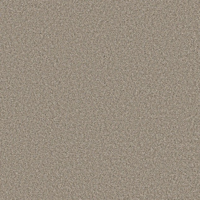 Best Yet - 5E745_00112-Carpet