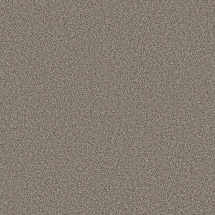 Best Yet - 5E745_00510-Carpet