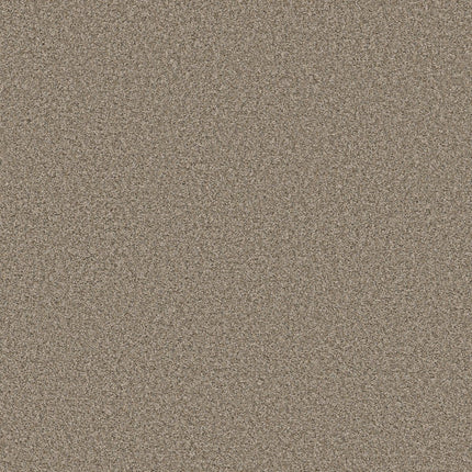 Best Yet - 5E745_00114-Carpet