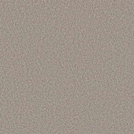 Best Yet - 5E745_00110-Carpet